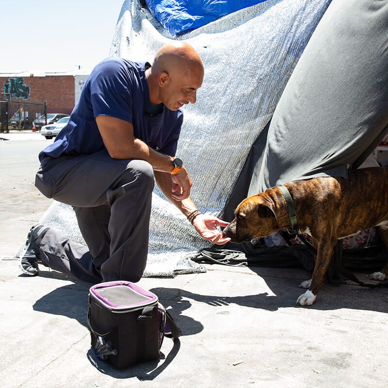 Project Street Vet3
