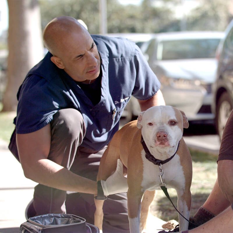 Project Street Vet4